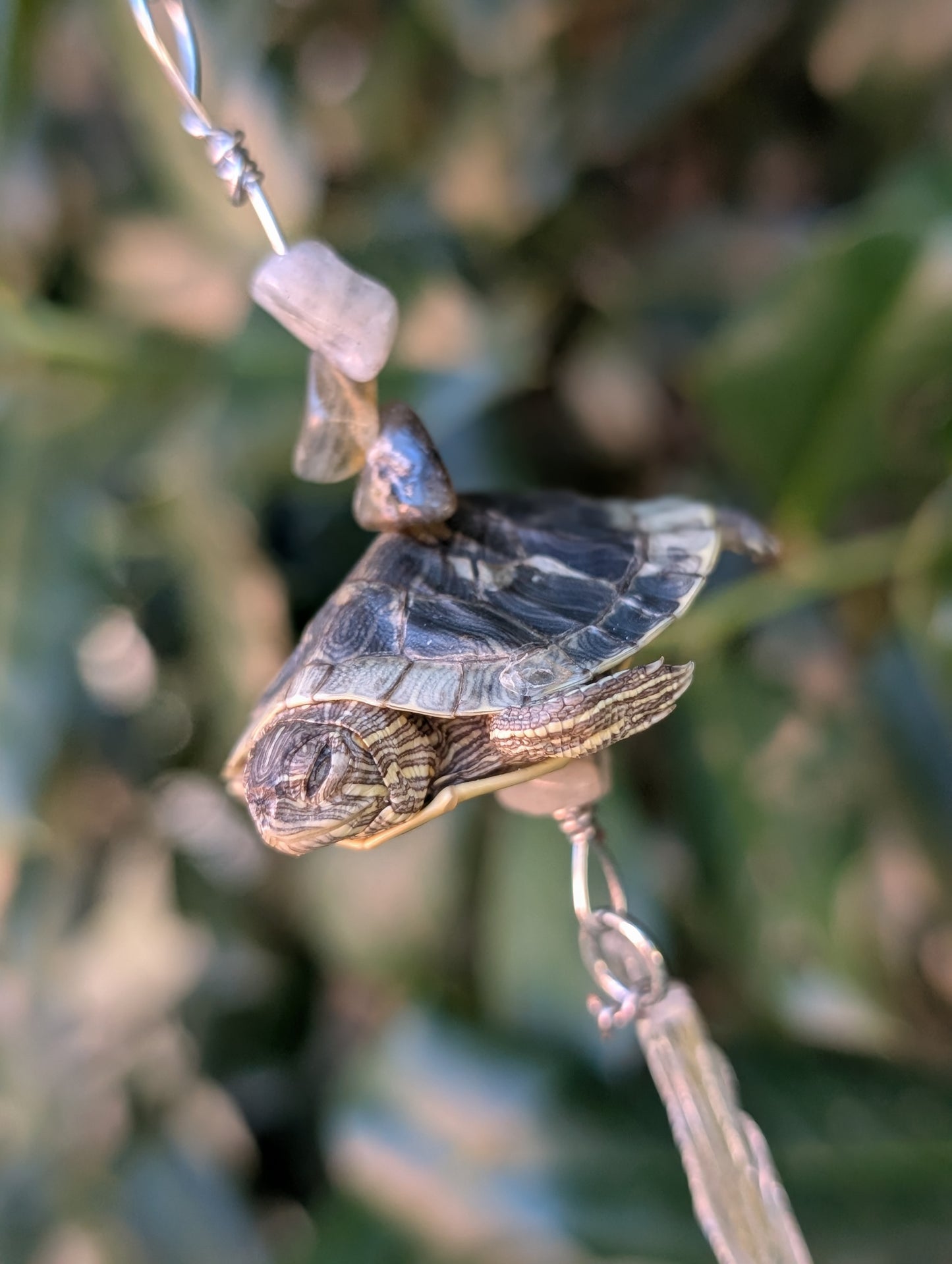 Baby red ear slider necklace