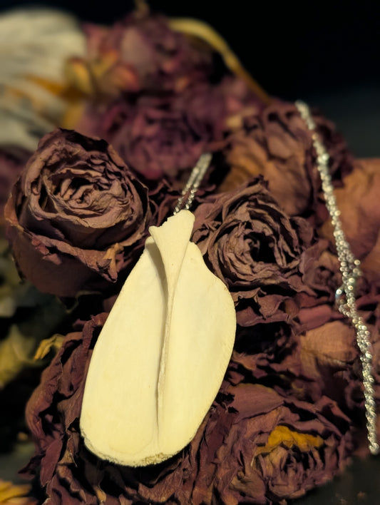 Fawn pelvic bone necklace