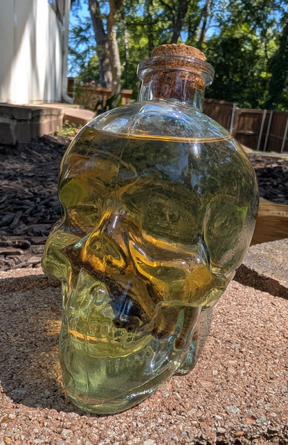 Skull Skink - wet specimen